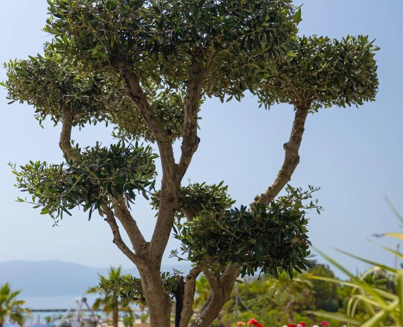Veranda Boutique Hotel Vlore